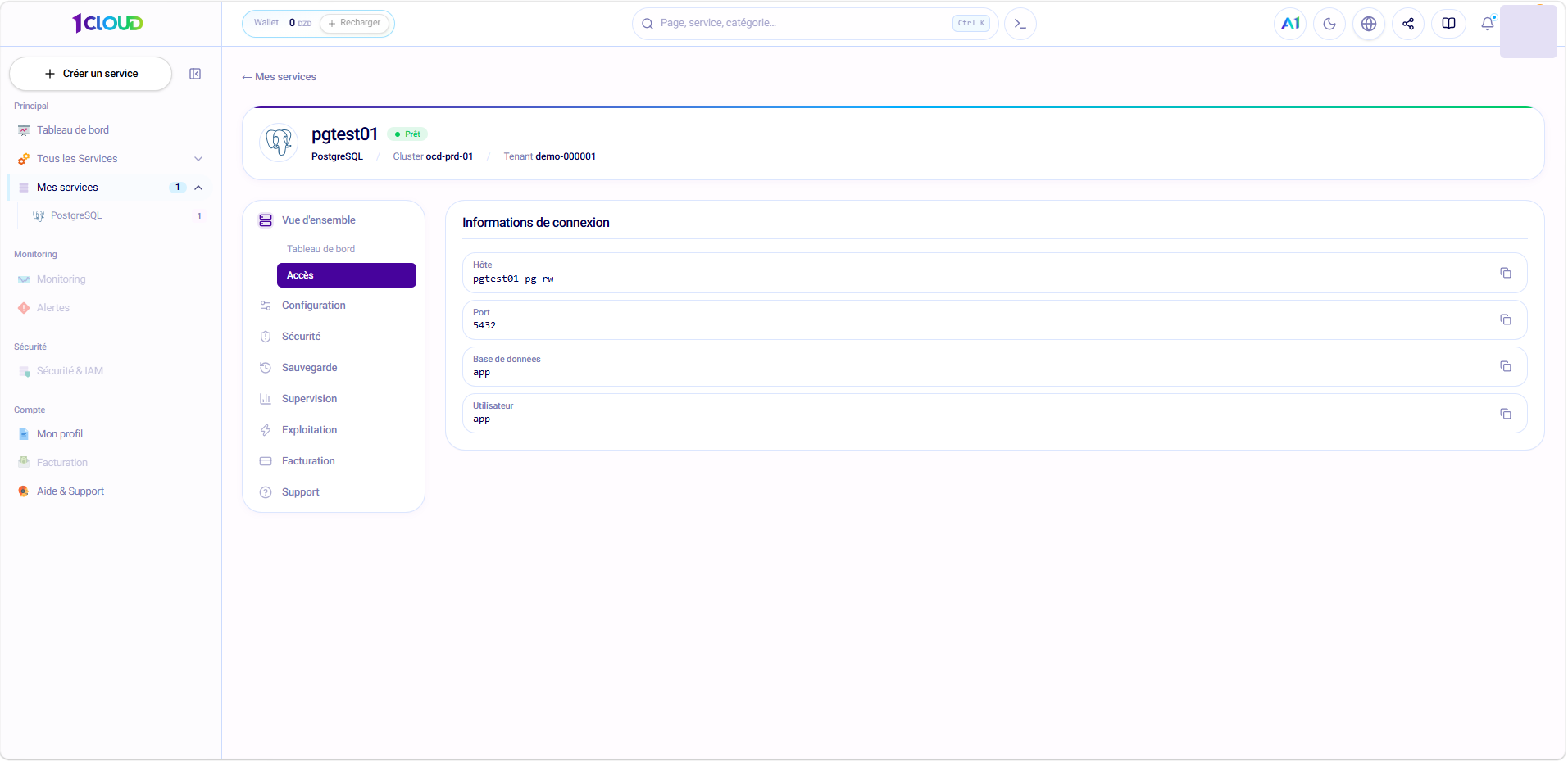 Onglet « Vue d'ensemble › Accès » d'une instance PostgreSQL